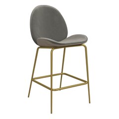 Барный стул CosmoLiving by Cosmopolitan Astor, серый цвет цена и информация | Стулья для кухни и столовой | 220.lv