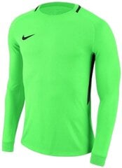 Jaka Nike Dry Park III, zaļa cena un informācija | Futbola formas un citas preces | 220.lv