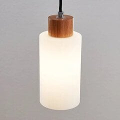 Деревянный подвесной светильник Lindby Nicus, одиночные лампочки цена и информация | Люстры | 220.lv