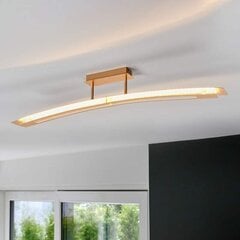 Lolina LED griestu lampa, 110 cm, zelta цена и информация | Потолочные светильники | 220.lv