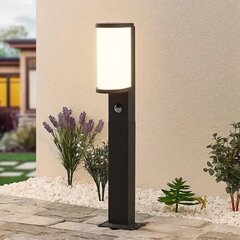 Lucande Jokum LED sliežu gaisma IP54 60cm sensors cena un informācija | Āra apgaismojums | 220.lv