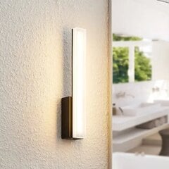 Lucande Lisana LED sienas lampa, IP44, vertikāla цена и информация | Настенные светильники | 220.lv