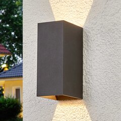 Mikka - 2 spuldžu LED āra sienas lampa cena un informācija | Āra apgaismojums | 220.lv
