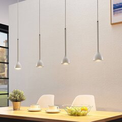 Nordwin piekaramā lampa, 4 spuldzes, balts sudrabs cena un informācija | Lustras | 220.lv