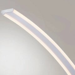 Paul Neuhaus Q-VITO LED stāvlampa, izliekta цена и информация | Торшеры | 220.lv
