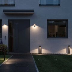 Paulmann 94454 Capa LED āra brīvstāvoša lampa LED cena un informācija | Āra apgaismojums | 220.lv