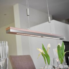 Rothfels LED piekaramā lampa Elna, niķelis, 118 cm цена и информация | Люстры | 220.lv