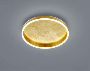 Sona Ceiling Light Акриловый рассеиватель с сусальным золотом, сатинированный цена и информация | Потолочные светильники | 220.lv