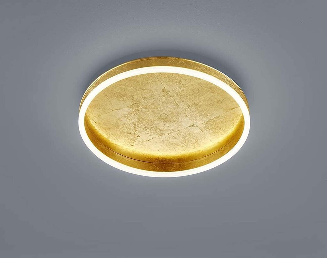 Sona griestu gaismas zelta lapu akrila difuzors, satinēts cena un informācija | Griestu lampas | 220.lv