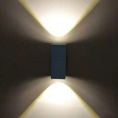 Tavi - āra sienas lampa ar 2 Bridgelux LED цена и информация | Потолочные светильники | 220.lv