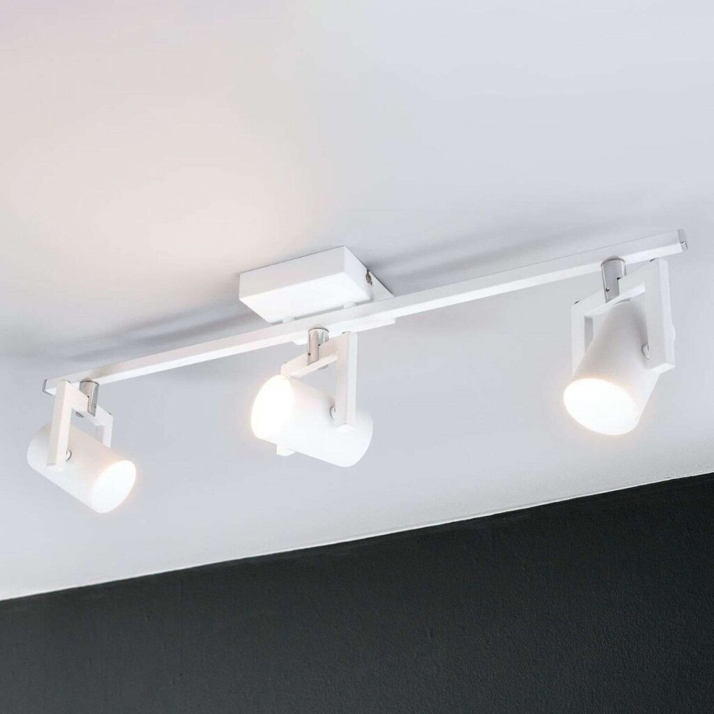 Trīs spuldžu LED prožektors Sulamita cena un informācija | Griestu lampas | 220.lv