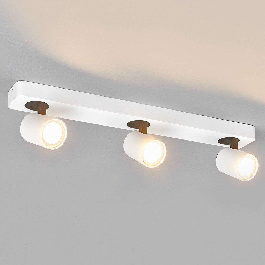 Trīs spuldžu Sean LED prožektors balts cena un informācija | Griestu lampas | 220.lv