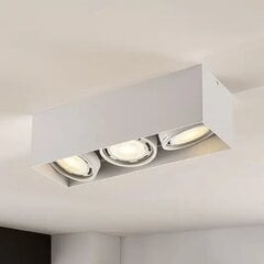 Светодиодный потолочный светильник Rosalie, регулируемый, квадратный, 3 лампочки. Белый цена и информация | Потолочные светильники | 220.lv
