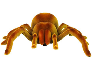 Lean toys Tālvadības pults Spider Tarantula Infrared Brown R/C cena un informācija | Attīstošās rotaļlietas | 220.lv