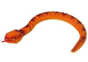 Interaktīva čūska anakonda 70 cm R/C, oranža cena un informācija | Rotaļlietas zēniem | 220.lv
