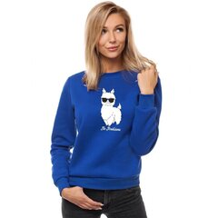Zils sieviešu džemperis bez kapuces No ProbLama JS/W01-50056-L cena un informācija | Sieviešu džemperi | 220.lv