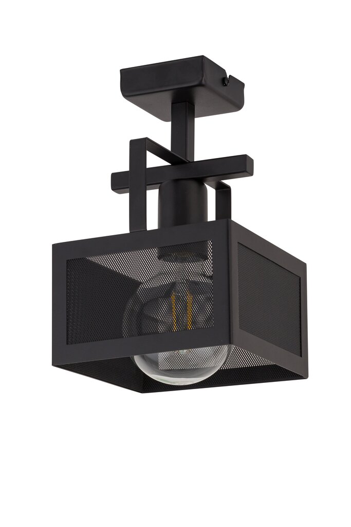 Griestu lampa Albert 32178 цена и информация | Griestu lampas | 220.lv