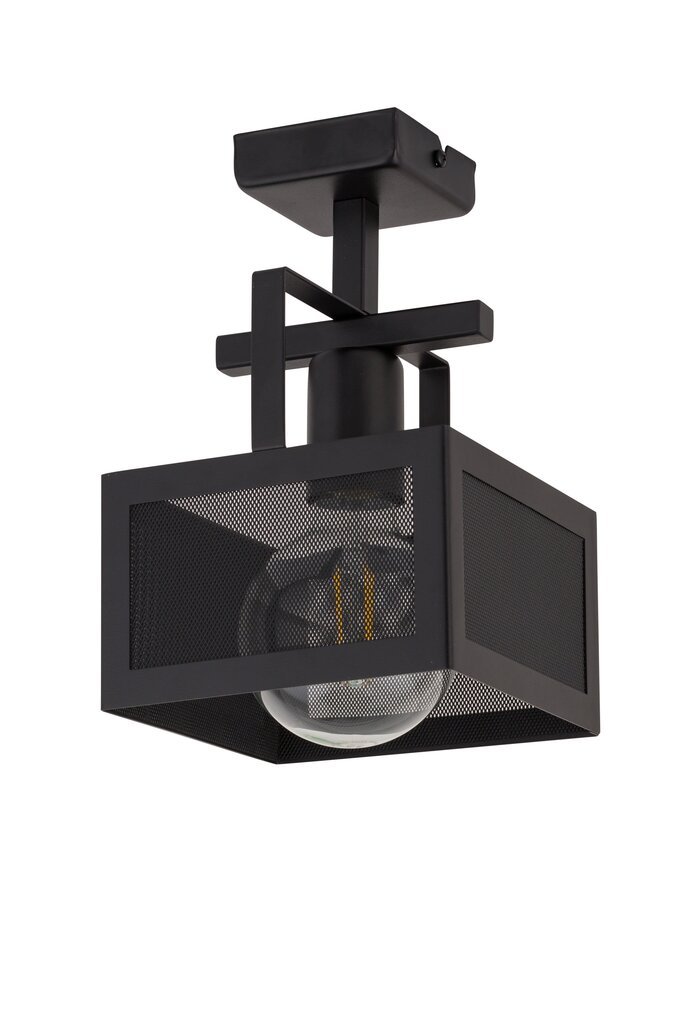 Griestu lampa Albert 32178 cena un informācija | Griestu lampas | 220.lv