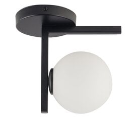 Griestu lampa Andy 33284 cena un informācija | Griestu lampas | 220.lv