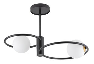 Griestu lampa Aqua 33462 cena un informācija | Griestu lampas | 220.lv