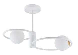 Griestu lampa Aqua 33463 cena un informācija | Griestu lampas | 220.lv