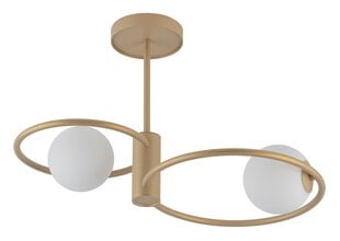 Griestu lampa Aqua 33464 cena un informācija | Griestu lampas | 220.lv