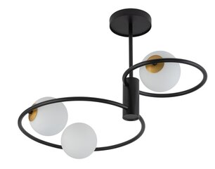 Griestu lampa Aqua 33465 cena un informācija | Griestu lampas | 220.lv