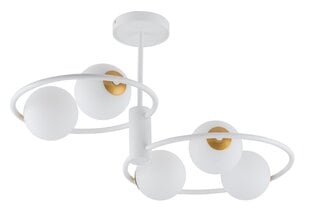 Griestu lampa Aqua 33469 cena un informācija | Griestu lampas | 220.lv