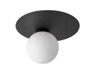 Griestu lampa Argon 33263 cena un informācija | Griestu lampas | 220.lv