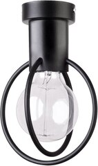 Потолочный светильник AURA 31091 цена и информация | Потолочный светильник | 220.lv