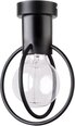 Griestu lampa Aura 31091