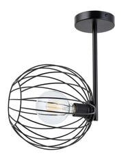 Потолочный светильник CHERRY 32361 цена и информация | Потолочные светильники | 220.lv