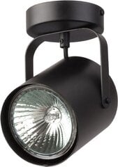 Griestu lampa Flesz 31065 cena un informācija | Griestu lampas | 220.lv