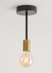 Griestu lampa GINO 32376 цена и информация | Потолочные светильники | 220.lv