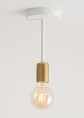 Piekarināma lampa Gino 32377 cena un informācija | Lustras | 220.lv