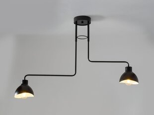 Griestu lampa HOLI 32447 цена и информация | Потолочные светильники | 220.lv