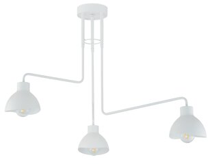 Piekarināma lampa Holi 32450 cena un informācija | Piekaramās lampas | 220.lv