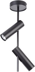 Потолочный светильник LEDA 33104 цена и информация | Настенный/подвесной светильник Eye Spot 11 BL, чёрный | 220.lv