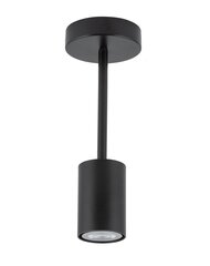 Piekarināma lampa Luis 33416 cena un informācija | Piekaramās lampas | 220.lv