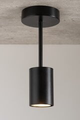 Потолочный светильник LUIS 33416 цена и информация | Люстры | 220.lv