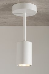 Piekarināma lampa Luis 33417 cena un informācija | Lustras | 220.lv