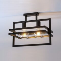 Griestu lampa Merci 32403 цена и информация | Потолочные светильники | 220.lv