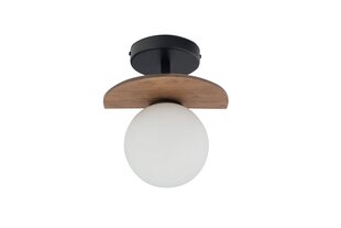 Griestu lampa Mirror 33300 цена и информация | Потолочные светильники | 220.lv