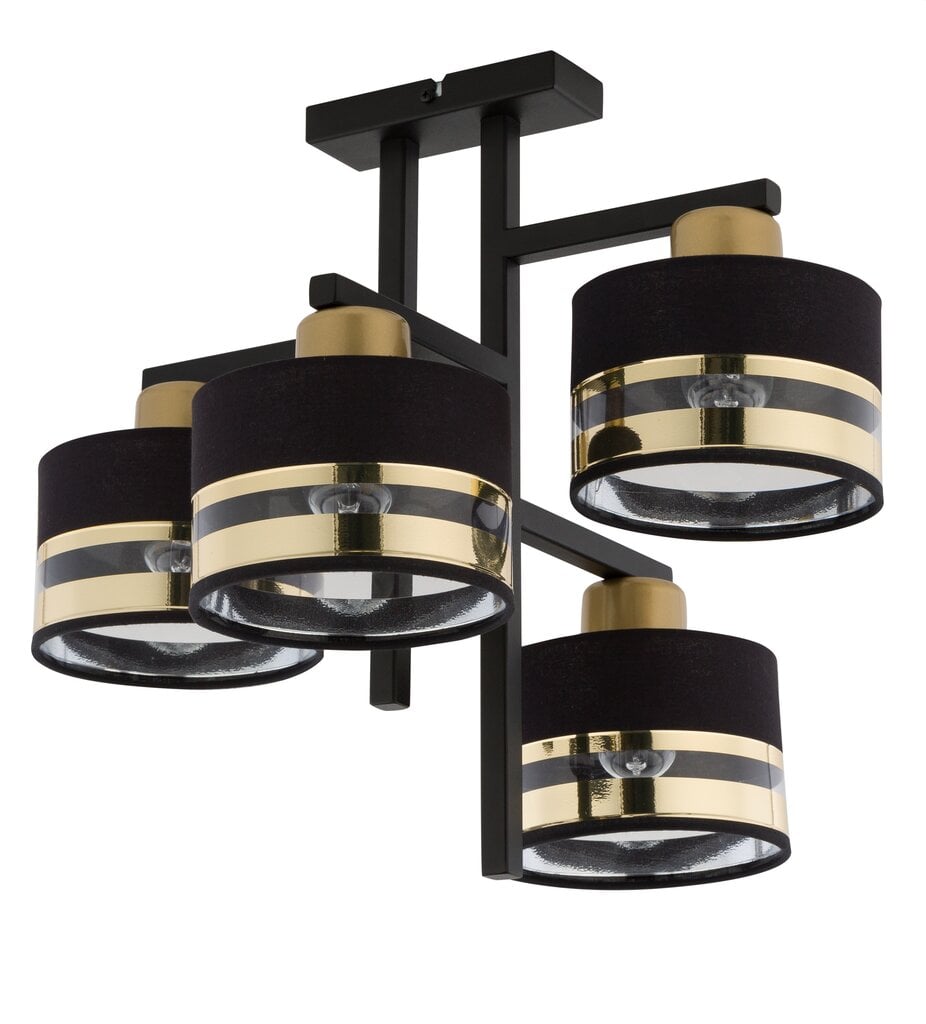 Griestu lampa Pro 32145 cena un informācija | Griestu lampas | 220.lv