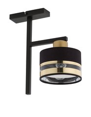 Griestu lampa Pro 32151 цена и информация | Потолочные светильники | 220.lv