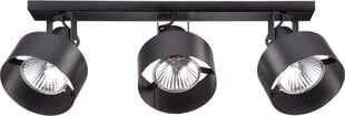 Griestu lampa Rif 31197 цена и информация | Потолочные светильники | 220.lv