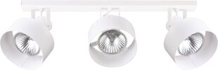 Griestu lampa Rif 31203 cena un informācija | Griestu lampas | 220.lv