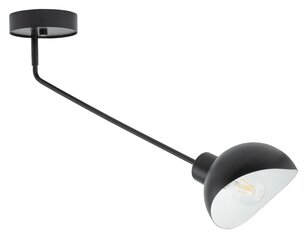 Потолочный светильник ROY 32427 цена и информация | Потолочные светильники | 220.lv