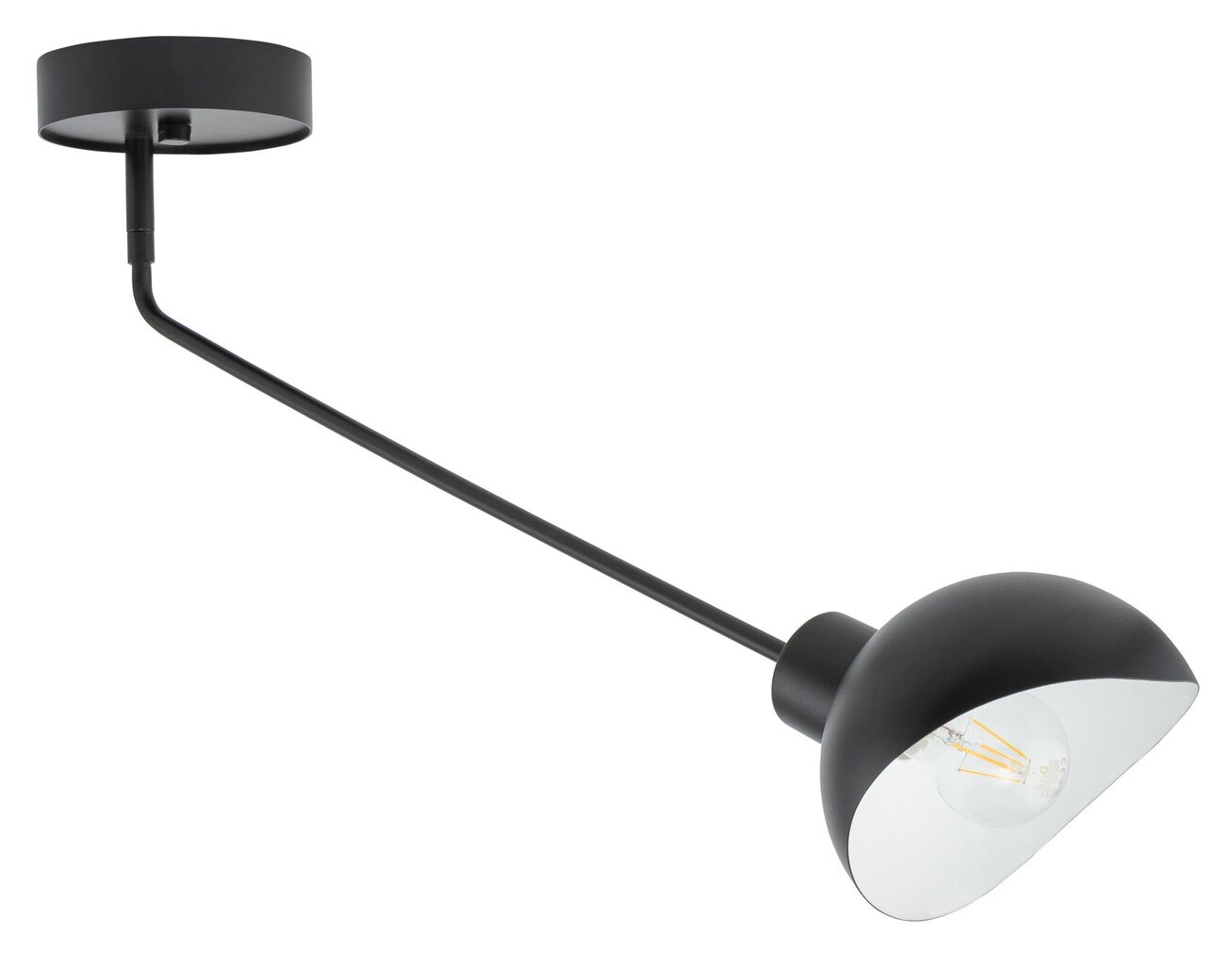 Griestu lampa Roy 32427 cena un informācija | Griestu lampas | 220.lv