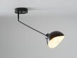 Griestu lampa Roy 32427 cena un informācija | Griestu lampas | 220.lv